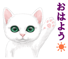 White kitty diary sticker #11391464