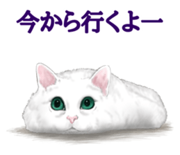 White kitty diary sticker #11391469
