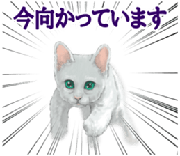 White kitty diary sticker #11391471