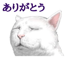 White kitty diary sticker #11391473