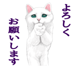 White kitty diary sticker #11391474