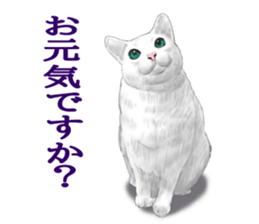 White kitty diary sticker #11391478