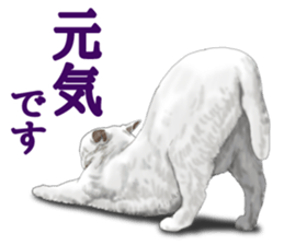 White kitty diary sticker #11391479