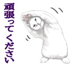 White kitty diary sticker #11391480