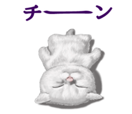 White kitty diary sticker #11391487