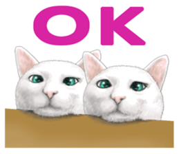 White kitty diary sticker #11391488