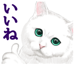 White kitty diary sticker #11391490