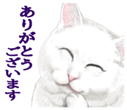 White kitty diary sticker #11391492