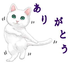 White kitty diary sticker #11391493