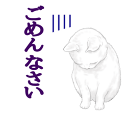 White kitty diary sticker #11391500