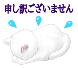 White kitty diary sticker #11391501