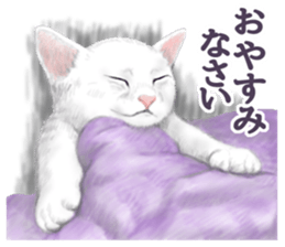 White kitty diary sticker #11391503