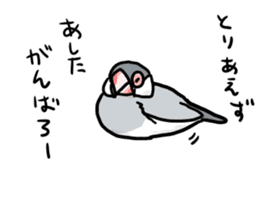 Java sparrow Chappy vol3 sticker #11392756