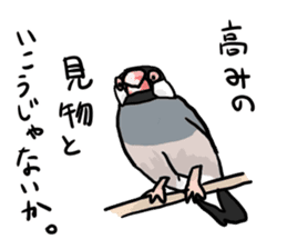Java sparrow Chappy vol3 sticker #11392759