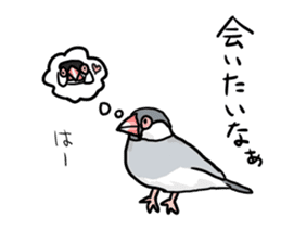 Java sparrow Chappy vol3 sticker #11392762