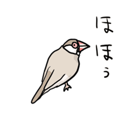 Java sparrow Chappy vol3 sticker #11392769