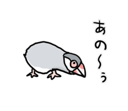 Java sparrow Chappy vol3 sticker #11392778