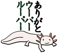 Biological picture book sticker #11392788