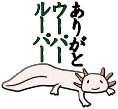 Biological picture book sticker #11392788