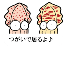oval squid (aori ika) sticker no.3 sticker #11394672
