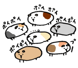 cavys poipoi sticker #11396595