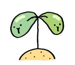 cavys poipoi sticker #11396615