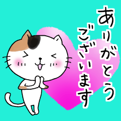 The cat which gives a polite response