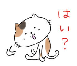 The cat which gives a polite response sticker #11397356