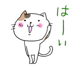 The cat which gives a polite response sticker #11397358