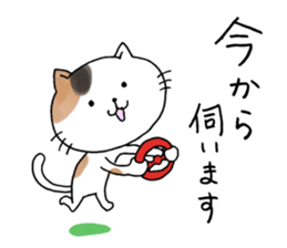 The cat which gives a polite response sticker #11397363