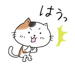 The cat which gives a polite response sticker #11397375