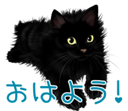 White cat and a black cat and ash cat sticker #11397465