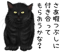 White cat and a black cat and ash cat sticker #11397470