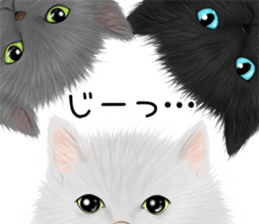White cat and a black cat and ash cat sticker #11397471