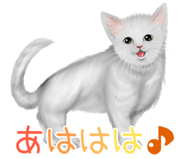 White cat and a black cat and ash cat sticker #11397472