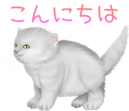 White cat and a black cat and ash cat sticker #11397475