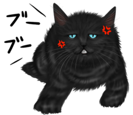 White cat and a black cat and ash cat sticker #11397476