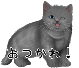 White cat and a black cat and ash cat sticker #11397477