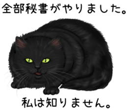 White cat and a black cat and ash cat sticker #11397479