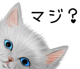 White cat and a black cat and ash cat sticker #11397485