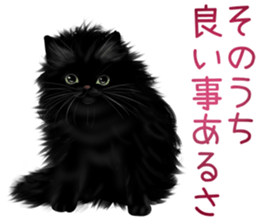 White cat and a black cat and ash cat sticker #11397486