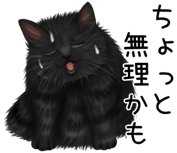 White cat and a black cat and ash cat sticker #11397488