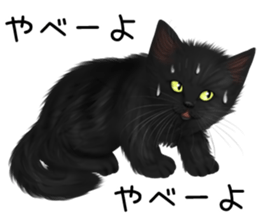 White cat and a black cat and ash cat sticker #11397491