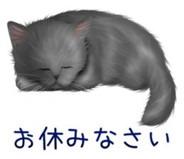 White cat and a black cat and ash cat sticker #11397495