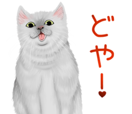 White cat and a black cat and ash cat sticker #11397497