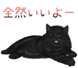 White cat and a black cat and ash cat sticker #11397499