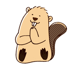 Funny , cute , beaver sticker #11397914
