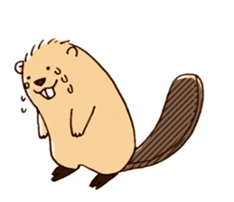 Funny , cute , beaver sticker #11397926