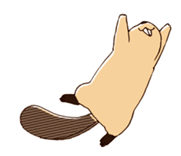 Funny , cute , beaver sticker #11397930