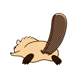 Funny , cute , beaver sticker #11397941